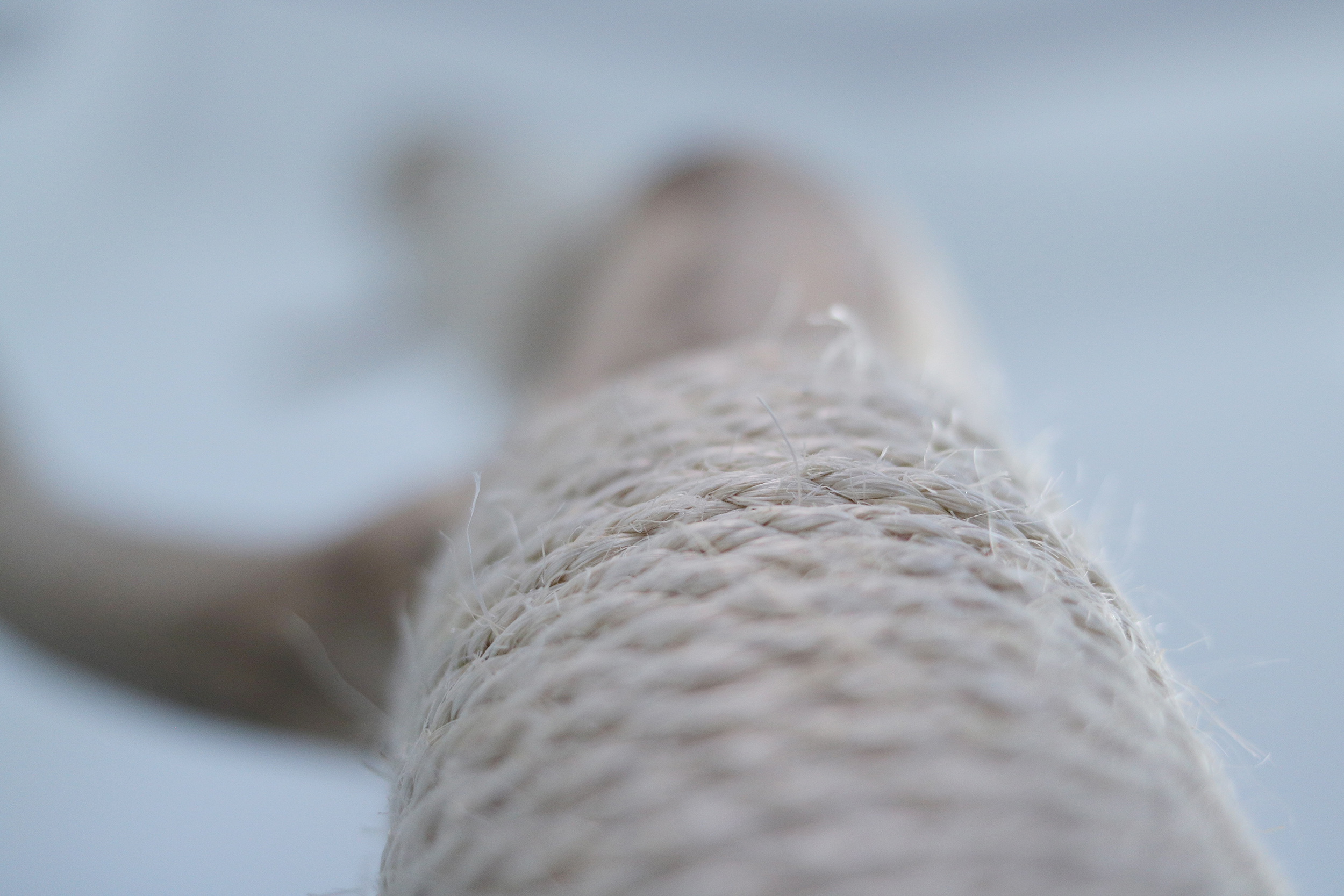 MENOW interior - Naturkratzbäume