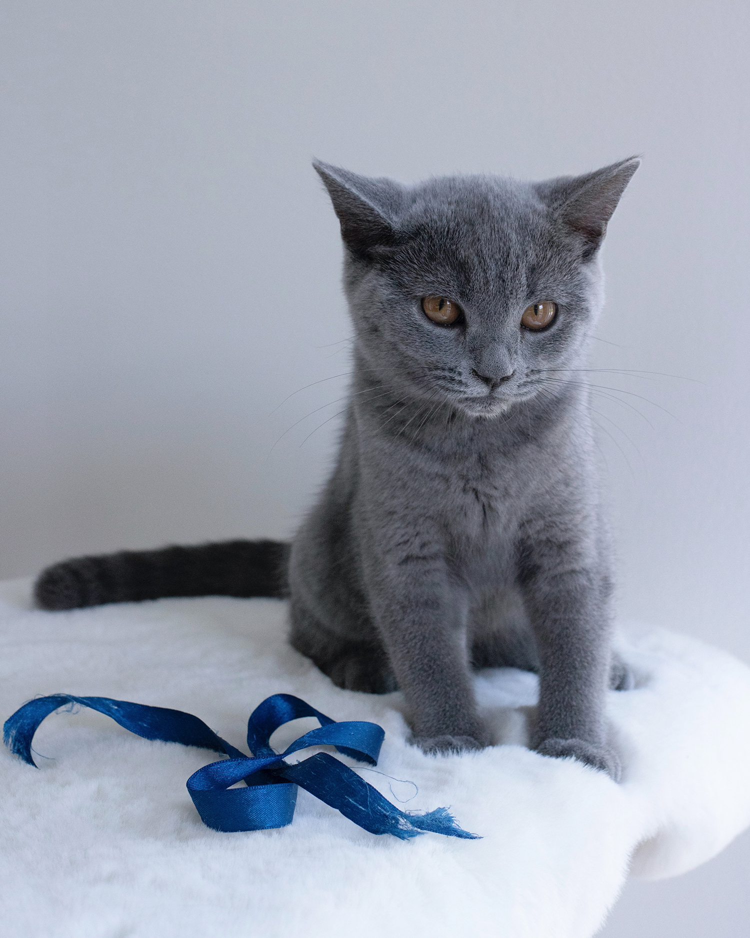 MENOW interior - Kartäuser Jean Pierre