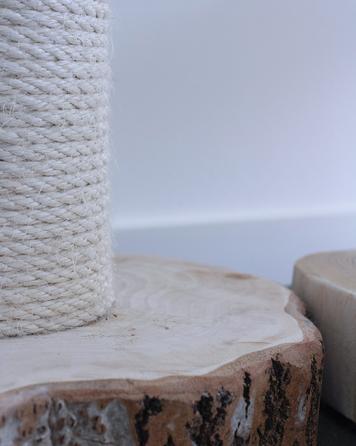 MENOW interior - Kratzstamm mit Sisal