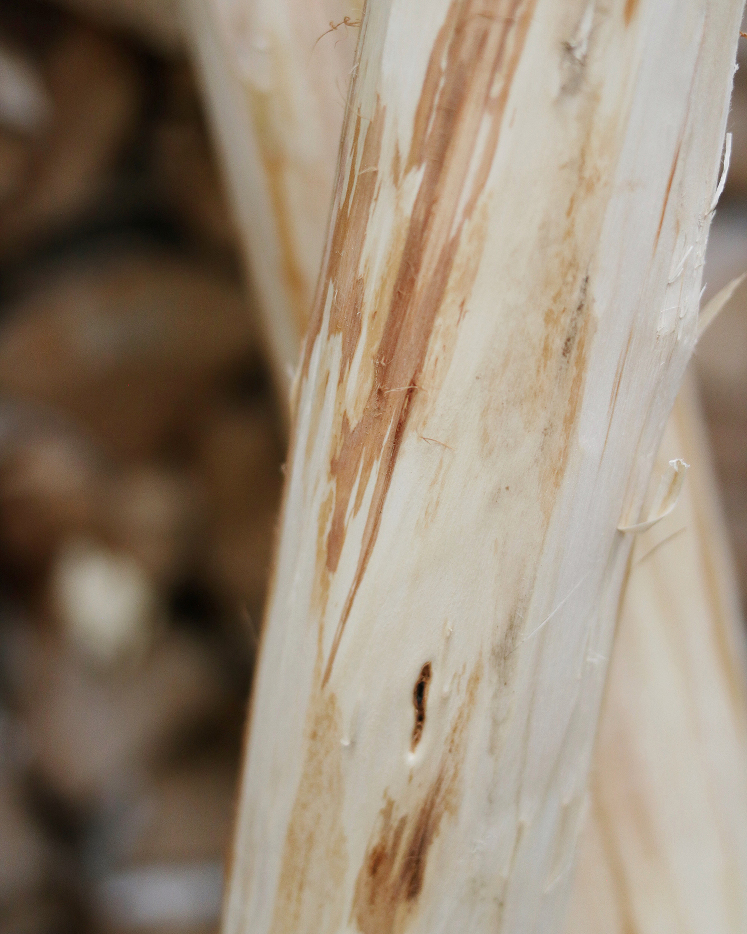 MENOW interior - Herstellung Kratzbaum/Kratzstamm