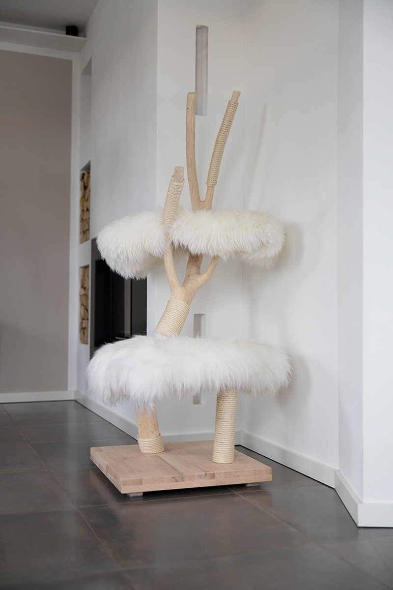 mittlerer Naturkratzbaum