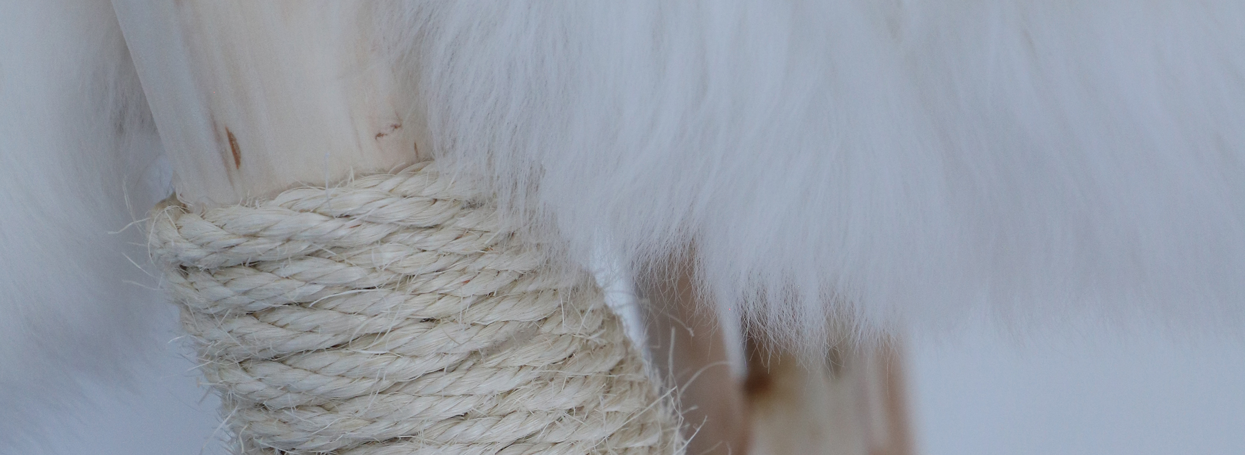 MENOW interior - Kratzbaum aus Eschenholz mit zwei Liegeflächen