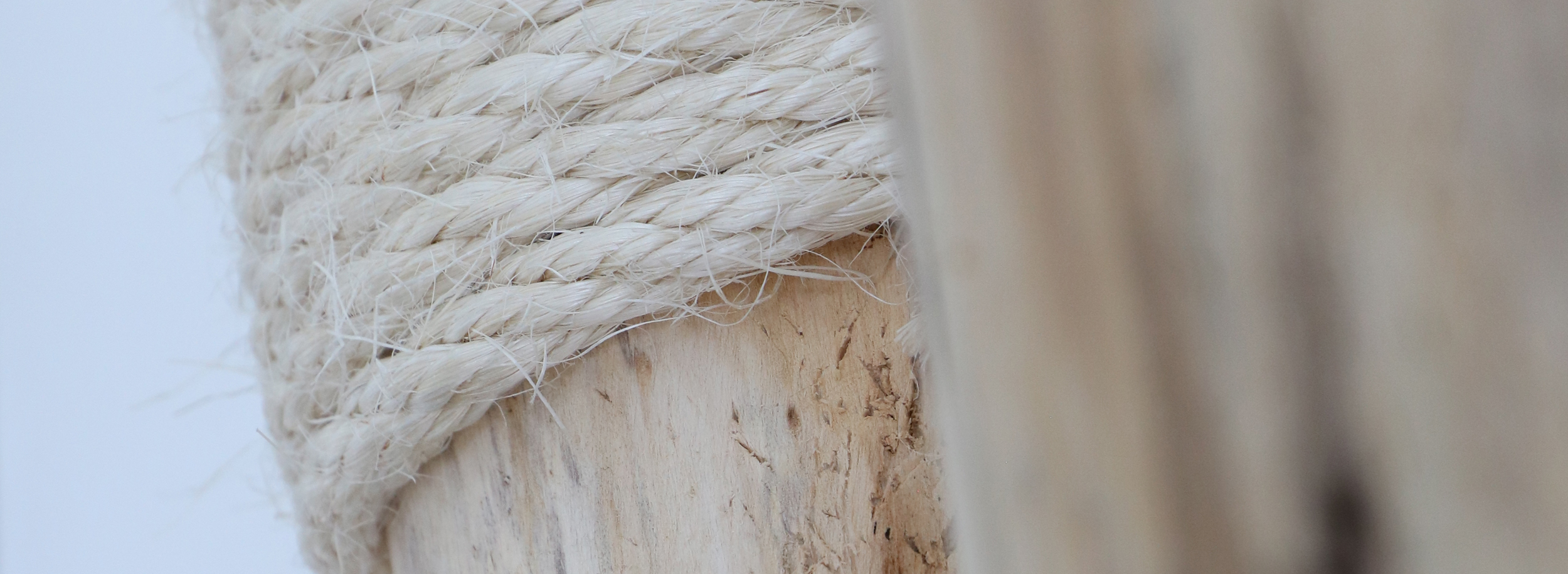 MENOW interior - Kratzstamm mit Sisal